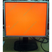 Монитор 19" TFT HP 1955 (DVI в Ельце, USB-хаб) "квадратный" (Елец)