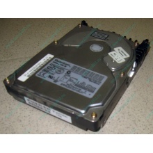 Жесткий диск 18.4Gb Quantum Atlas 10K III U160 SCSI (Елец)