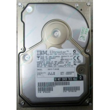 Жесткий диск 18.2Gb IBM Ultrastar DDYS-T18350 Ultra3 SCSI (Елец)