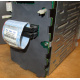 HP 365664-001 кабель SCSI для корзины 373108-001 / 359719-001 HP ML370G4 (Елец)