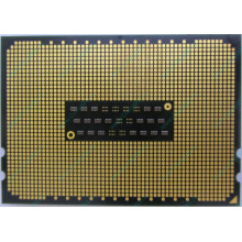 AMD Opteron 6128 OS6128WKT8EGO (Елец)